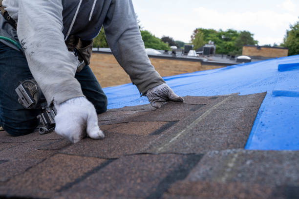 Professional Roofing Contractor in Jasper, TN