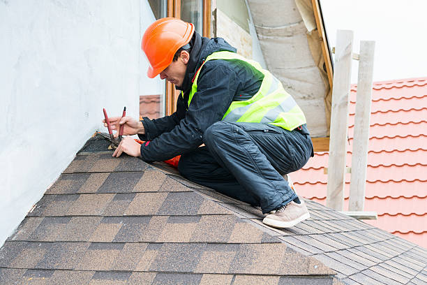 Best Roof Gutter Cleaning  in Jasper, TN